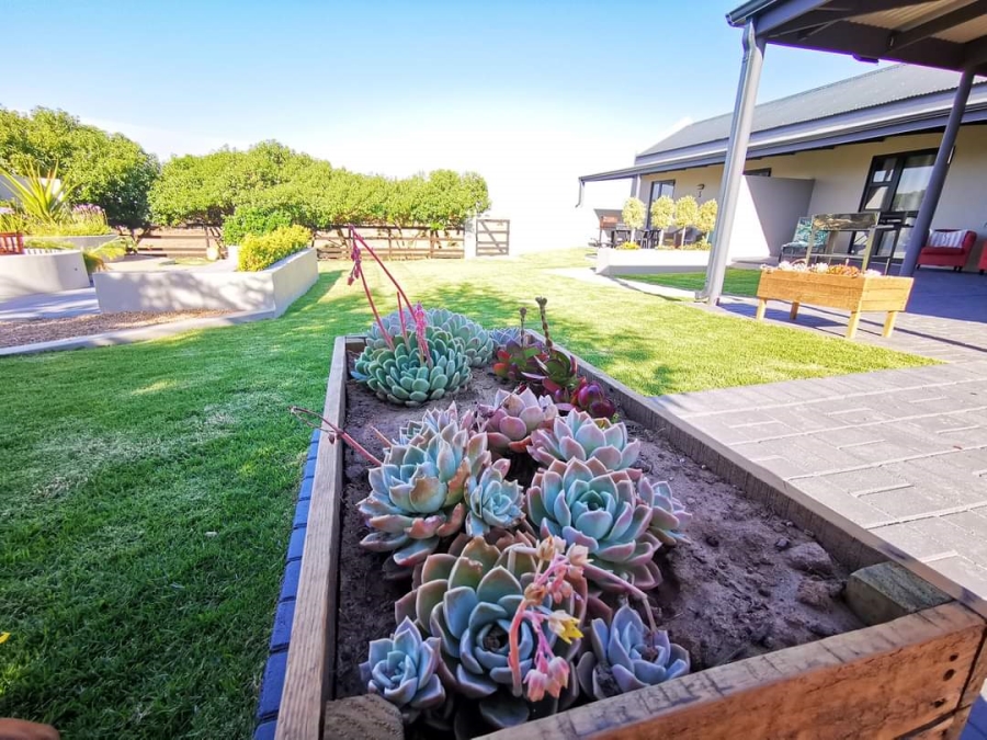 9 Bedroom Property for Sale in Olifantskop Western Cape